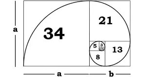 Hướng dẫn cách áp dụng chiến thuật fibonacci để thắng lớn