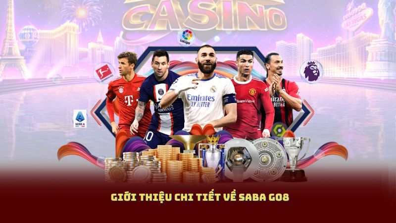 Giới thiệu chi tiết về Saba Go8
